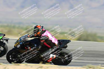 media/Apr-14-2024-SoCal Trackdays (Sun) [[70f97d3d4f]]/3-Turn 12 Speed Pans (945am)/